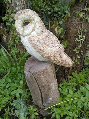 Barn Owl on a post