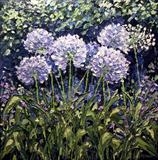 Allium Huddle - Alison Cowan