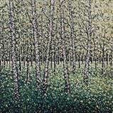 Birch Coppice - Alison Cowan