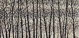 Black Trees - Alison Cowan