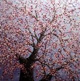 Blossom Burst - Alison Cowan