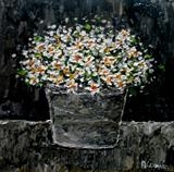 Daisies in Tin Pot - Alison Cowan