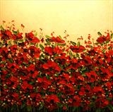 Field of Poppies - Alison Cowan