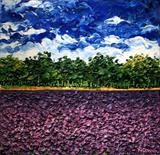 Lavender Fields - Alison Cowan