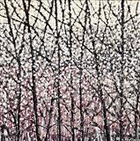 Mauve Haze Through Spiky Trees - Alison Cowan