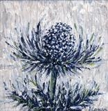 Sea Holly - Alison Cowan