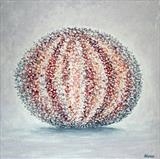 Sea Urchin - Alison Cowan