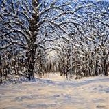 Snowy Trees - Alison Cowan