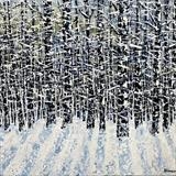 Snowy Woodland - Alison Cowan