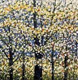 Spring has Sprung - Alison Cowan