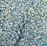 White Blossom on Blue - Alison Cowan