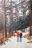 Winter in Glen Tanar 1 - John Rowland