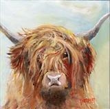 Highland Cow  Scruffy 2 - Peter Tarrant