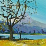 Lochearnhead - Peter Tarrant