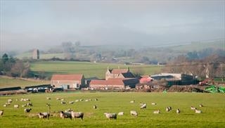 Hauser & Wirth Somerset