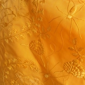 Golden Spider Silk